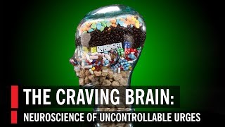 The Craving Brain Neuroscience of Uncontrollable Urges [upl. by Harp]