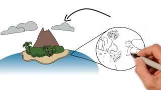 Introduction to Soil part 1 [upl. by Strohl143]