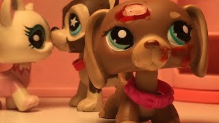 Littlest Pet Shop – quotAll Around the Worldquot Music Video [upl. by Yllod]