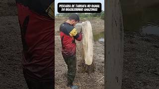 Lago abandonado no Brazuca peixe subscribe pescaesportiva recap youtube reels [upl. by Ilera233]