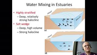 5 Types of Mixing in Estuaries [upl. by Zins]