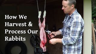 How We Harvest and Process Our Rabbits [upl. by Anner]