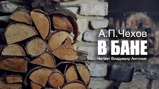 «В бане» АПЧехов Аудиокнига Читает Владимир Антоник [upl. by Achorn]