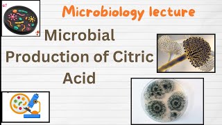 Citric acid production  Microbial Production of Citric Acid  Industrial production of Citric acid [upl. by Alyos]