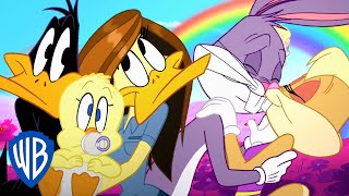 Looney Tunes  Couples Goals  WB Kids [upl. by Zednanref]