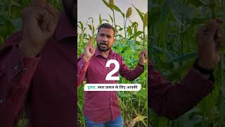 कोई नहीं बताएगा ज्वार फसल के ये 5 बड़े फायदे  Five benefits of sorghum crop [upl. by Jairia403]