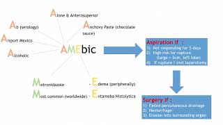 Amebic amp Pyogenic Liver Abscess [upl. by Kcaj]