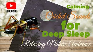 Calming Cricket Sounds for Deep Sleep  Relaxing Nature Ambience [upl. by Sawyor152]