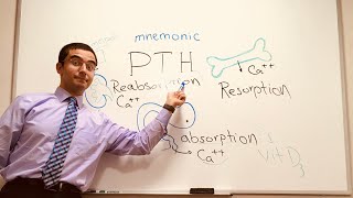 Parathyroid Hormone PTH  a simple Mnemonic [upl. by Harragan]