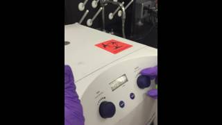 LAB use centrifuge to get cell pellet for DCW [upl. by Aileme206]