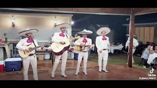 MARIACHI MEXICO DALLAS TEXAS 2145525323 [upl. by Noak]