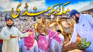 Makkah ki bakra Mandi hajj season 2024  Latest hajj 2024 updates [upl. by Edrick]