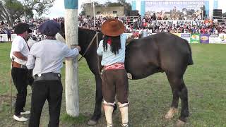 Monta Especial Ramón Cordoba CamperoTv 🤠🐴🧉🇦🇷🌳 [upl. by Matheny]