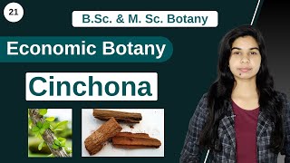 Economic Botany  Medicinal Plants  Cinchona  B Sc amp M Sc [upl. by Mervin457]