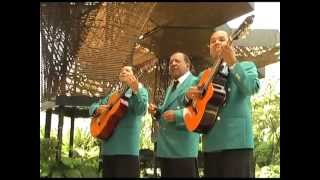 TRIO AMERICA canta ENAMORADO EL DIECINUEVE QUIEN SERA EN EL JUEGO DE LA VIDA [upl. by Theodosia]