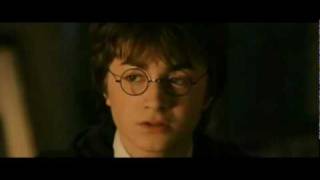 Harry Potter Funny Musical [upl. by Goggin741]