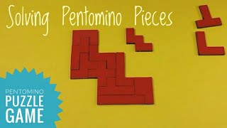 Solving Pentomino Puzzle Solving Pentominoes shapes as a Solutions [upl. by Ecilahc]