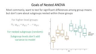 Nested ANOVA [upl. by Tymon263]