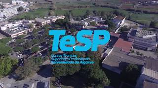 CTeSP  Cursos Técnicos Superiores Profissionais [upl. by Aronos916]