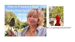 How I’m going to save my nonhardy gardenia plant for the winter in my Zone 5b garden [upl. by Arola635]