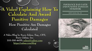 A Video Explaining how to Calculate and Award Punitive Damages [upl. by Ettenej274]