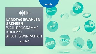 Arbeit amp Wirtschaft – Das planen Sachsens Parteien  Podcast Wahlprogramme kompakt  MDR [upl. by Ahtreb]