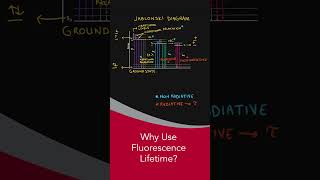 Why Use Fluorescence lifetime fluoroscopy science [upl. by Elinet443]