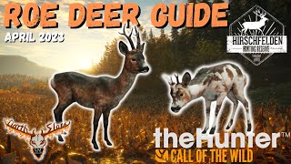 Hirschfelden Roe Deer Guide April 2023 the Hunter Call of the Wild [upl. by Annavas]