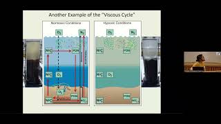 Low Oxygen Environments in Marine and Coastal Waters The 53rd Ocean Liedge Colloq 3rd GO2NE Confere [upl. by Selassie947]