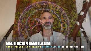 Meditación DMT para abrir el tercer ojo 👁 con respiración para potenciar amor salud y prosperidad [upl. by Dowell]