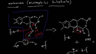 Flavin Dependent Monooxygenation with External Reducing Agent [upl. by Brigitta]