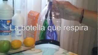 La botella que respira  Respiración pulmonar Experimentos Caseros [upl. by Bunce]