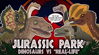 Jurassic Park Evolution Movie Dinosaurs Compared To Real Life 1993  ANIMATED [upl. by Beeson]