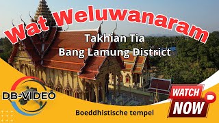 4K 🇹🇭 Wat Weluwanaram Takhian Tia  Boeddhistische tempel  2024 [upl. by Eedrahc853]