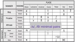 Alveolar fricatives s and z [upl. by Quick]