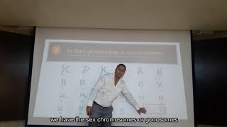 Chromosomes and Karyotype [upl. by Hsima]