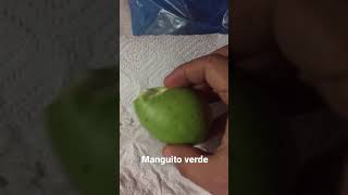 Comiendo manguito verde de El Salvador llanteros503 aventurasdeelsalvador [upl. by Baiel190]