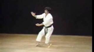 Shotokan Kata Bassai Sho  Kanazawa Hirokazu [upl. by Chemush]