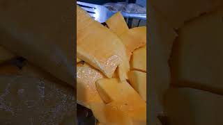 Mango harvest from the garden mangga fruit fruitshorts food foodshorts segar delicious panen [upl. by Enilra]