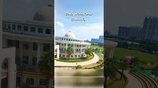 Noida international University library university noida sharda galgotias [upl. by Euqnomod]