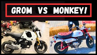 2024 Monkey VS Grom Honda MiniMOTO [upl. by Yrac810]