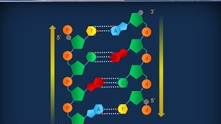 Citologia 26  DNA e cromosmi [upl. by Betthezel]