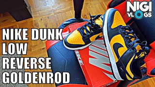 Nike Dunk Low Reverse Goldenrod  Unboxing amp On Feet  Detaljna Recenzija Patika [upl. by Fitzgerald]