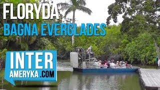 Floryda Everglades rejs łodzią AirBoat po Bagnach [upl. by Isyad]