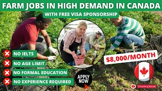 Farm Jobs In Canada With Free Visa Sponsorship In 2024  No Education No Experience Required [upl. by Ardnasella]