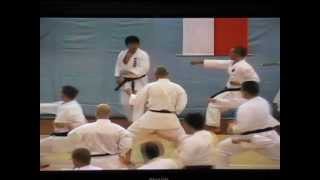 Sensei Manabu Murakami 2  seminar SKIF kancho Hirokazu Kanazawa in Czech Rebublic 2007 [upl. by Lemrahc464]