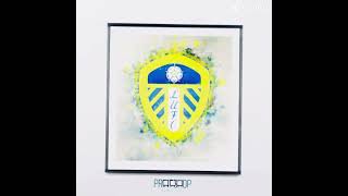 Leeds are the best leedsunited football [upl. by Laura]