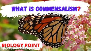 what is commensalism in biology  Commensalism  commensalism meaning  commensalism definition [upl. by Erdnassak469]