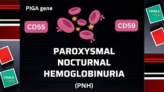 Paroxysmal Nocturnal Hemoglobinuria Understanding PNH [upl. by Corwun]