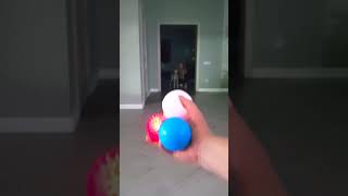 Dog and squeaking Balls reverse video [upl. by Yrak834]